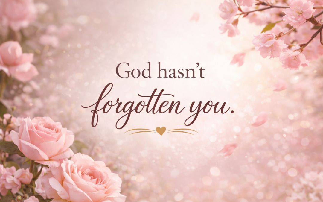 I see your needs and I will provide