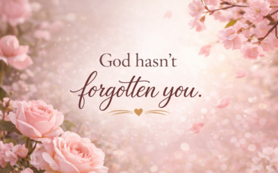 I see your needs and I will provide